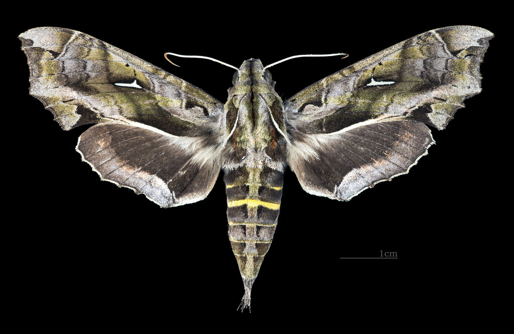 Lesson image