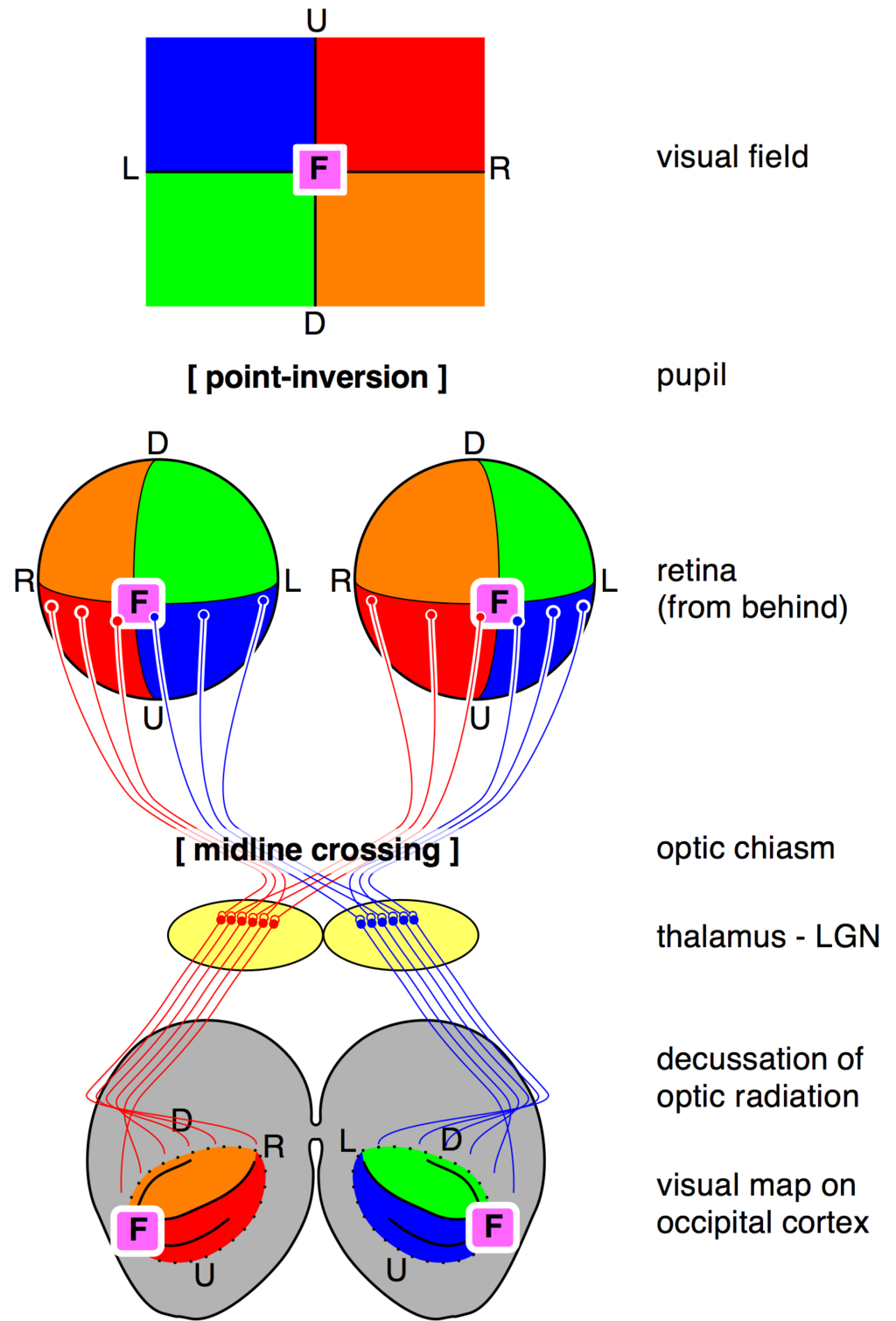Lesson image