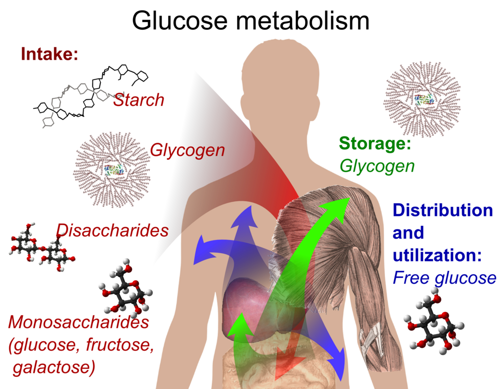 Lesson image