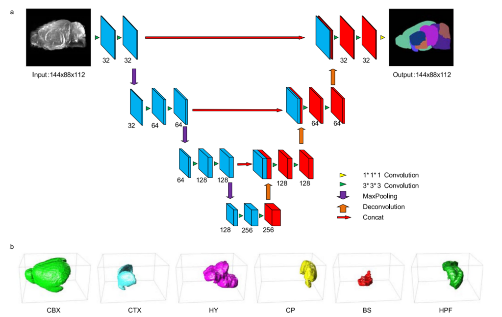 Lesson image