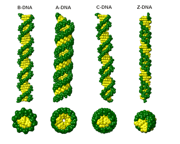 Lesson image
