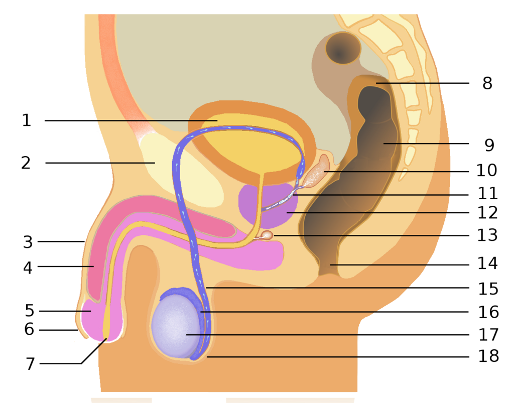 Lesson image