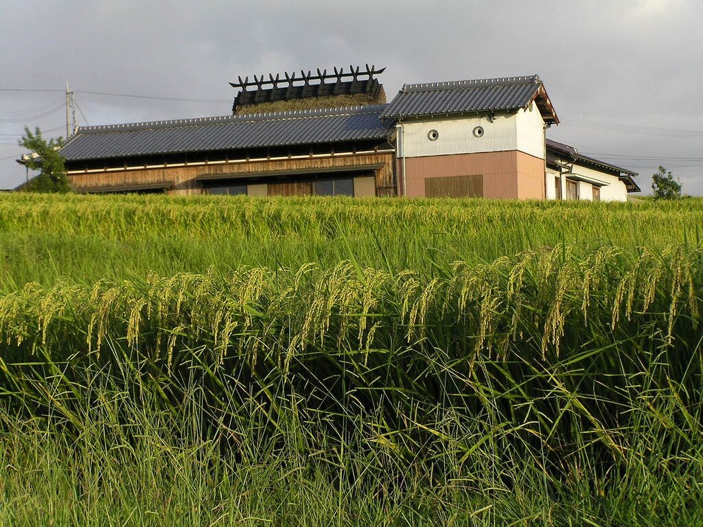 Lesson image