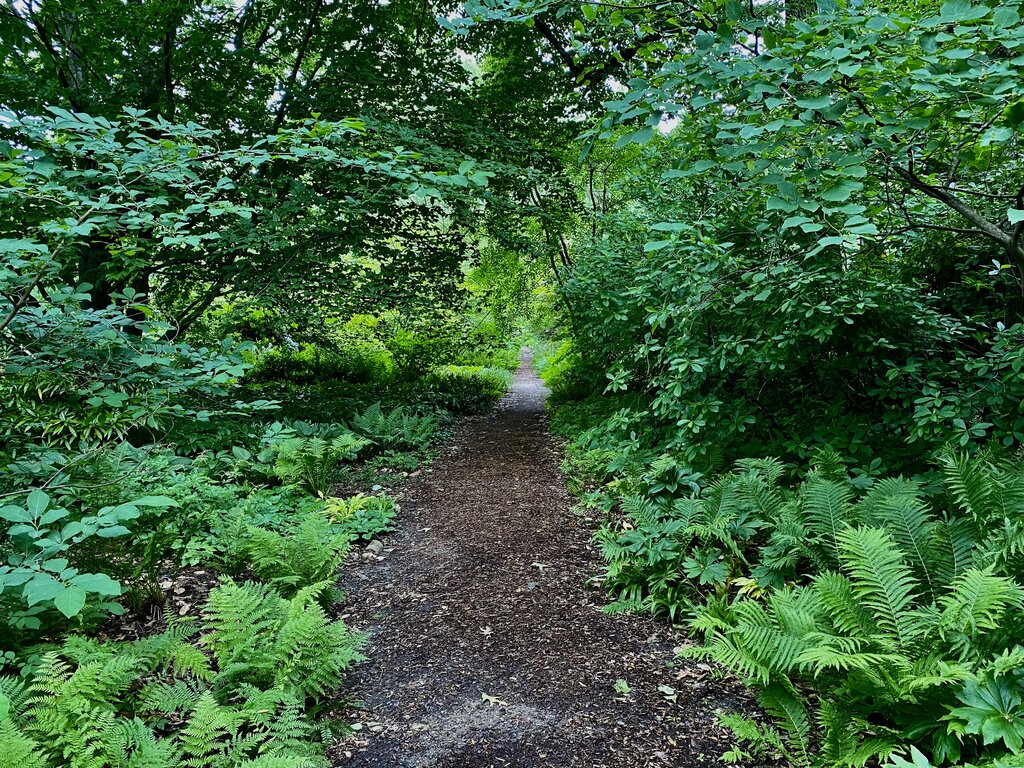 Lesson image