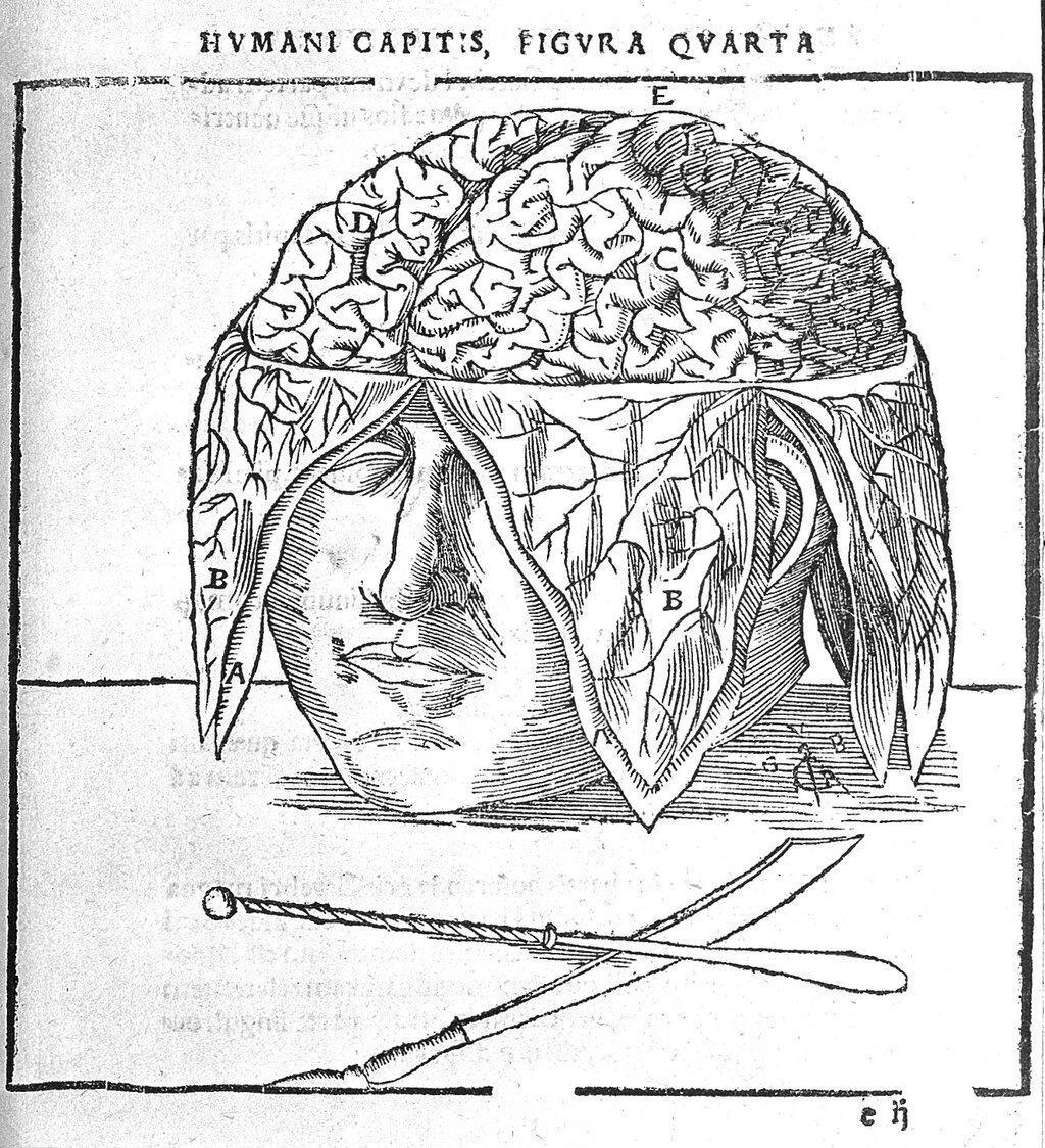 Lesson image