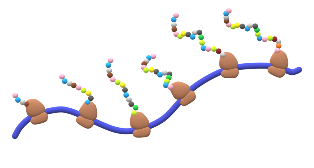 Lesson image