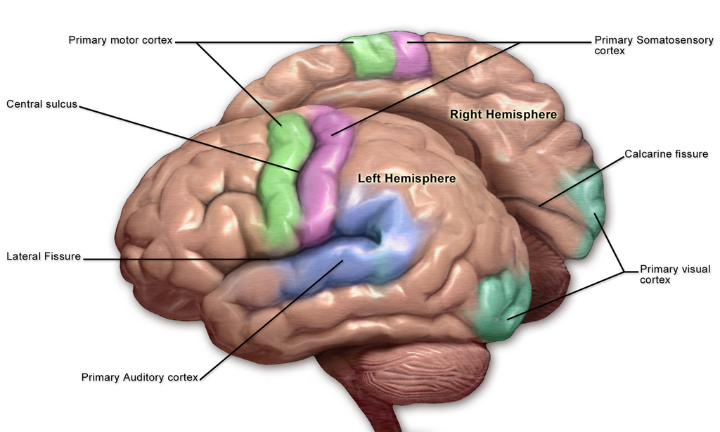 Lesson image