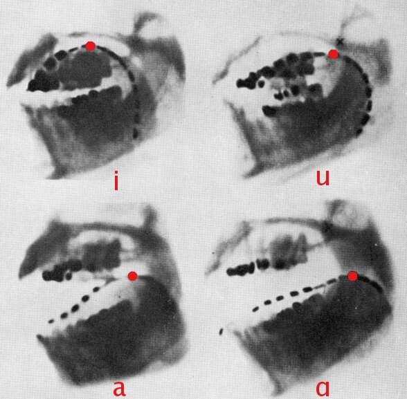 Lesson image