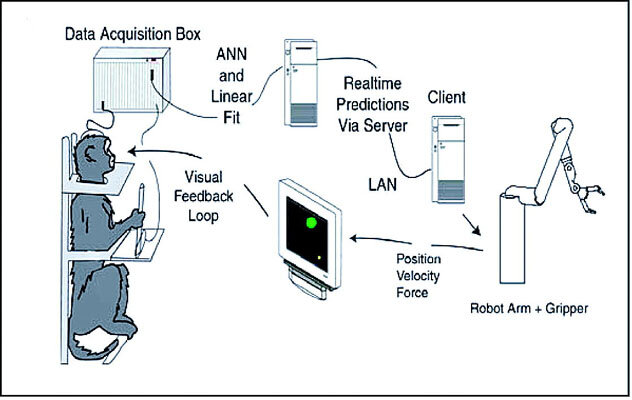 Lesson image