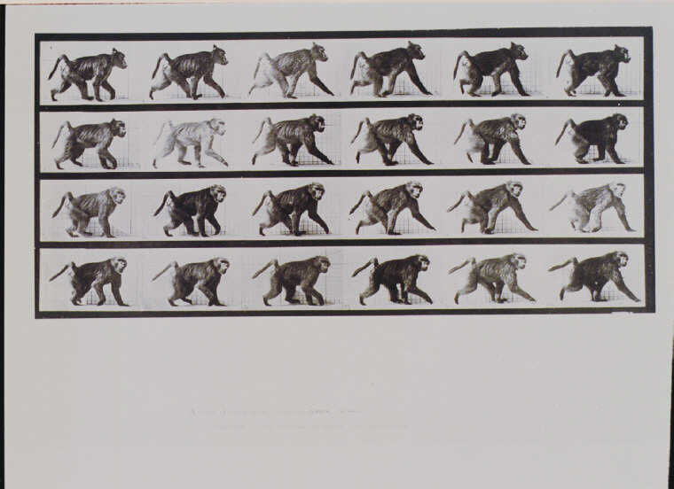 Lesson image