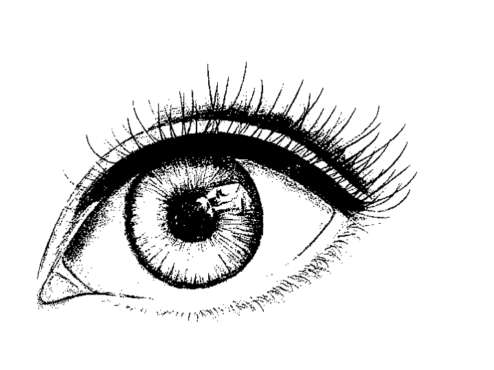 Lesson image