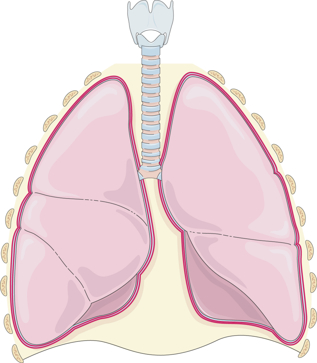 Lesson image