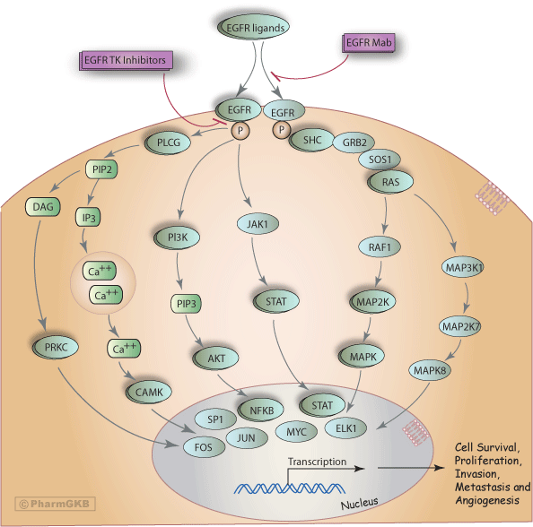 Lesson image