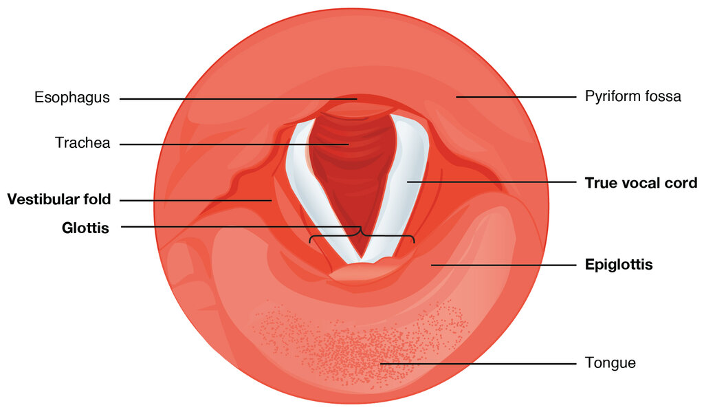 Lesson image