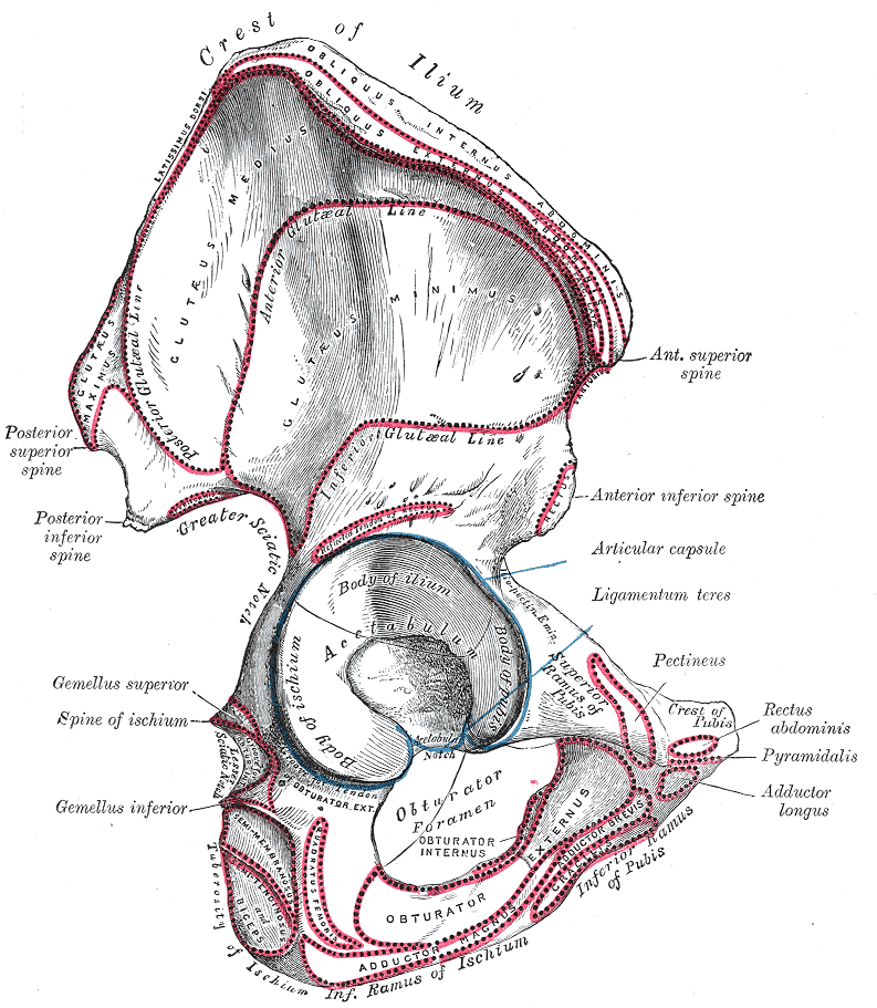 Lesson image