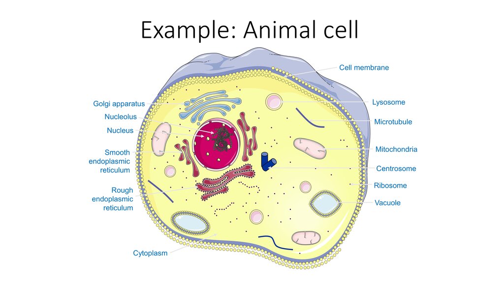 Lesson image