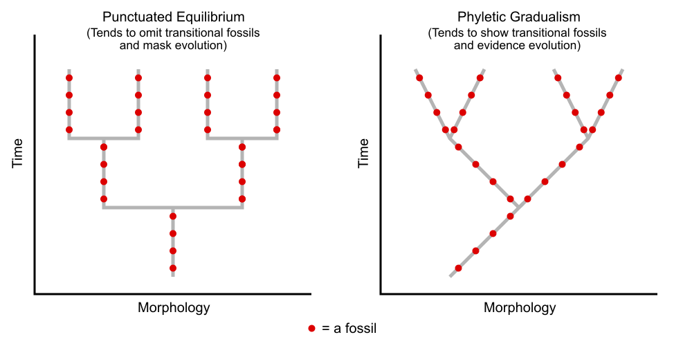 Lesson image