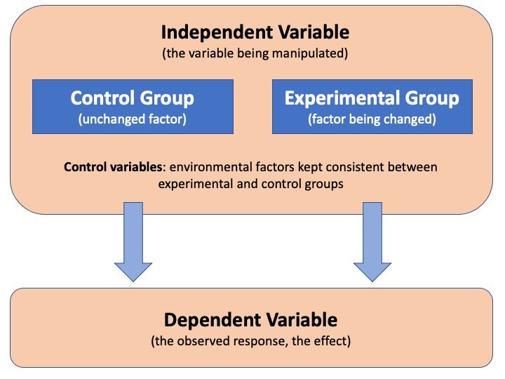 Lesson image