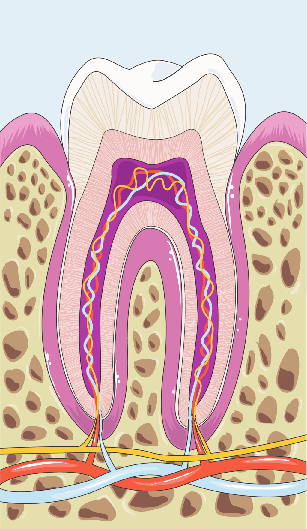 Lesson image