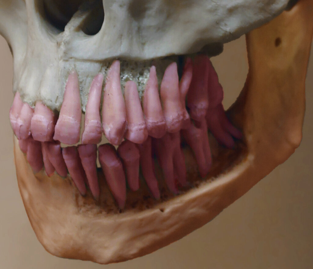 Lesson image