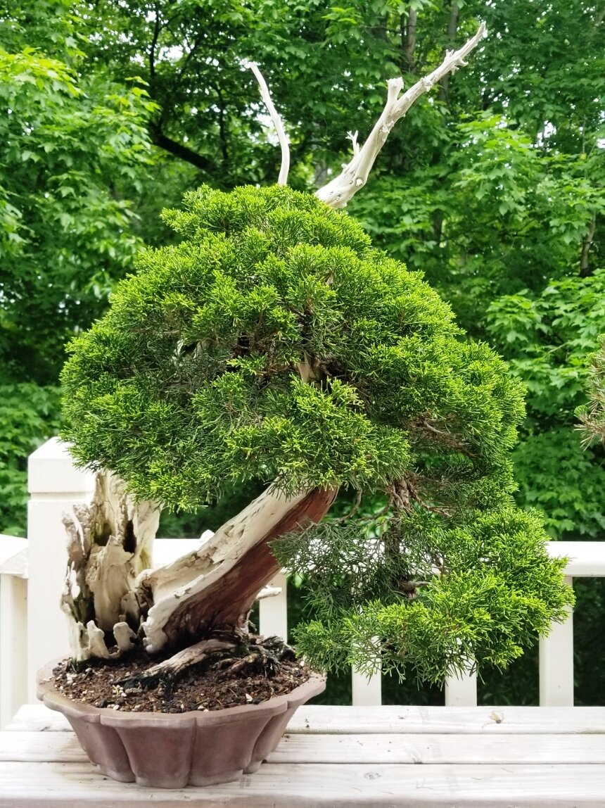 Lesson image
