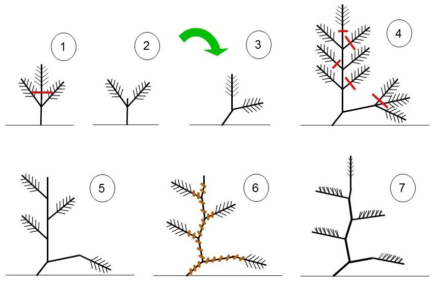 Lesson image