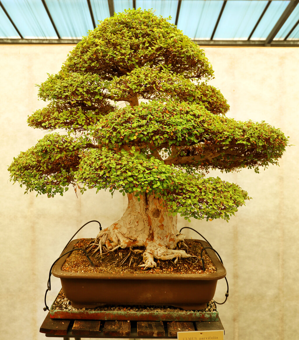 Lesson image