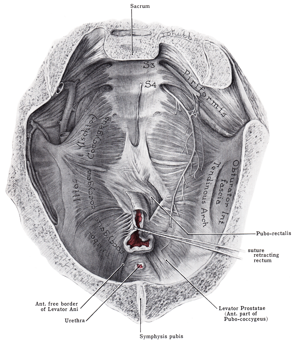 Lesson image