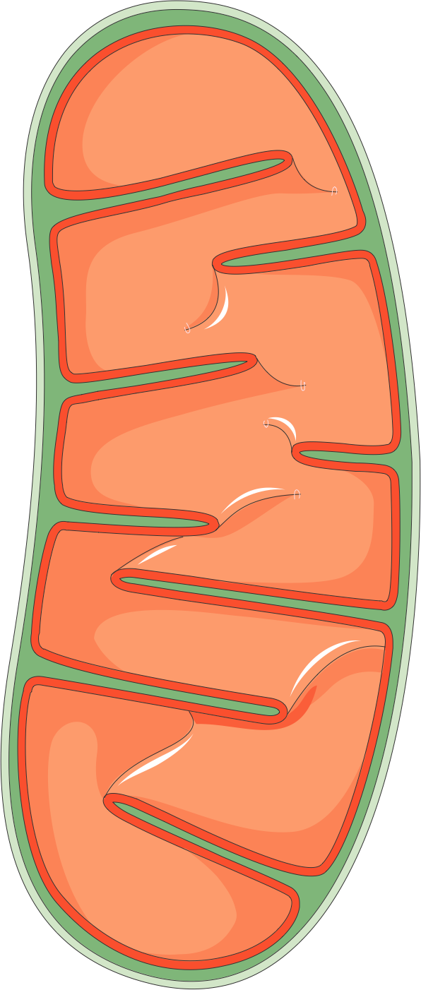 Lesson image