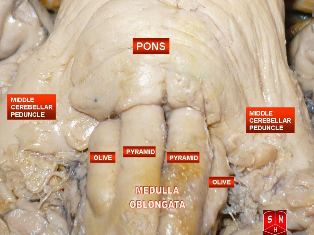 Lesson image