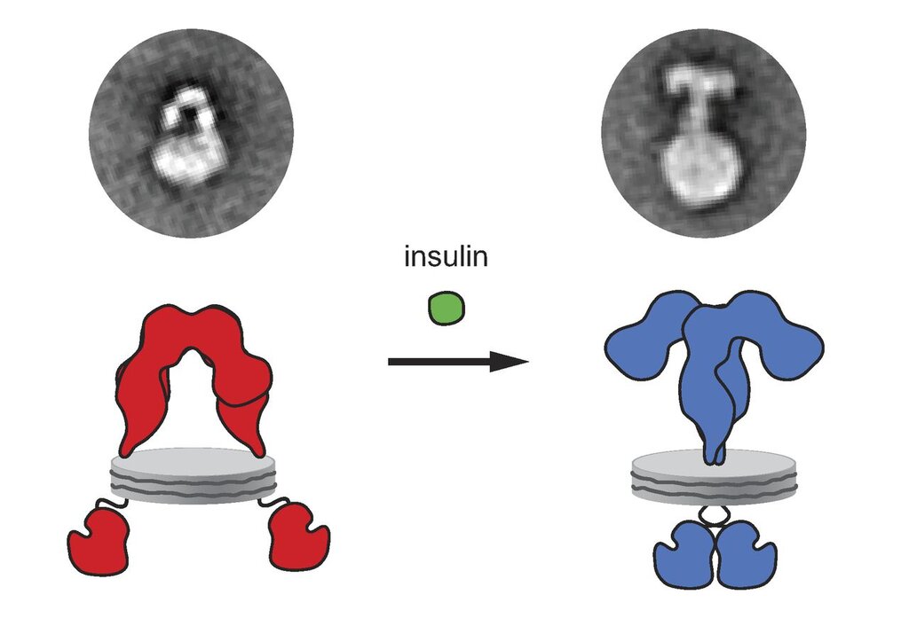 Lesson image
