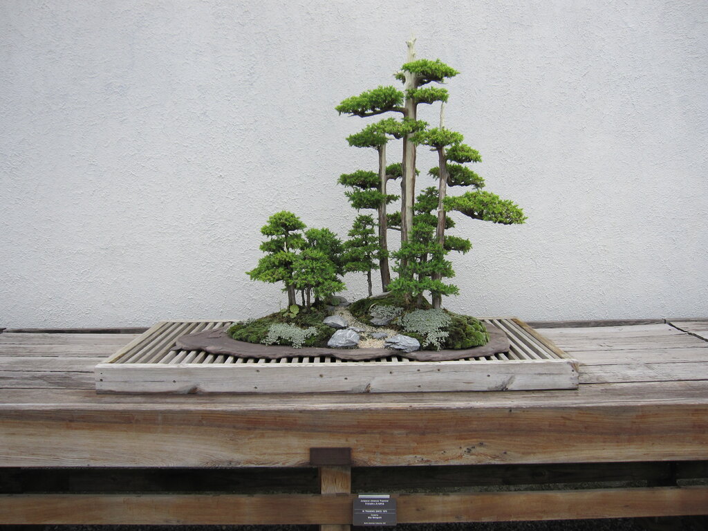 Lesson image