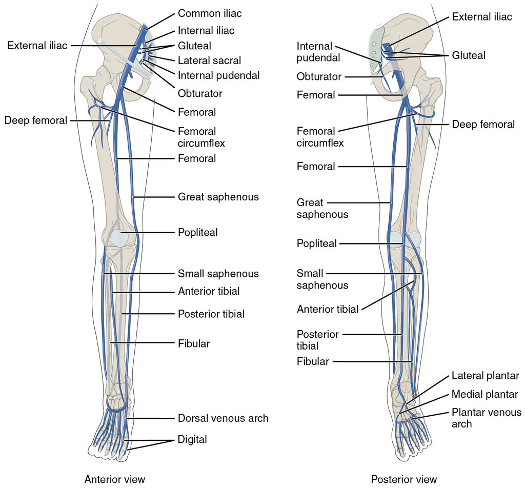 Lesson image