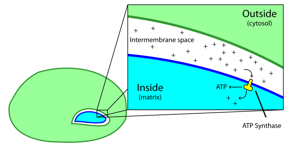 Lesson image