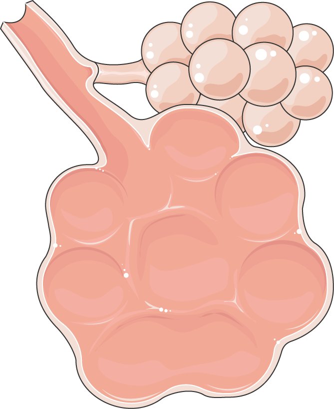 Lesson image