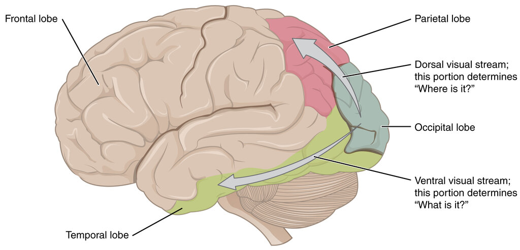 Lesson image