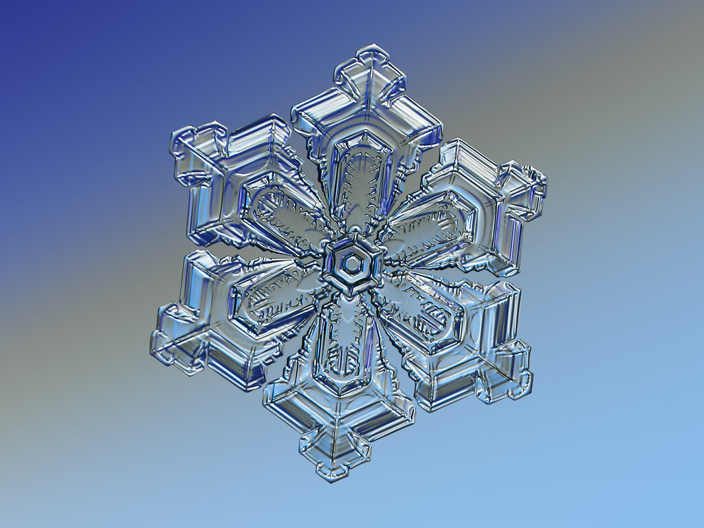 Lesson image