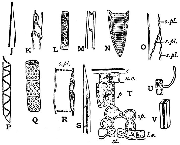 Lesson image