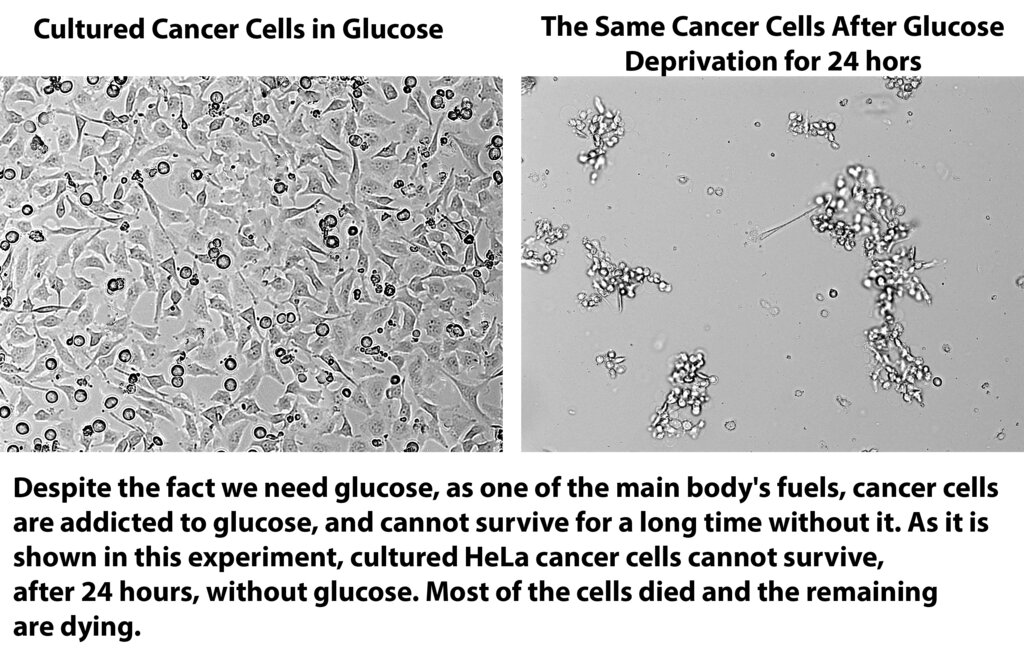 Lesson image