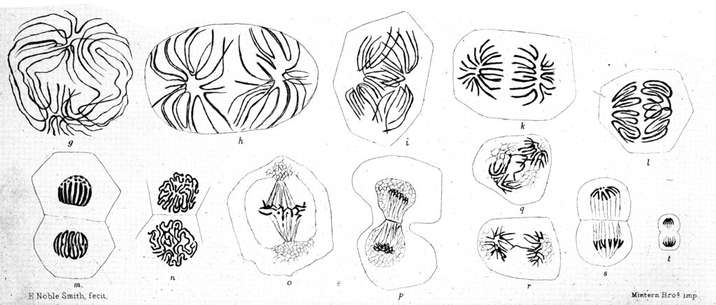 Lesson image