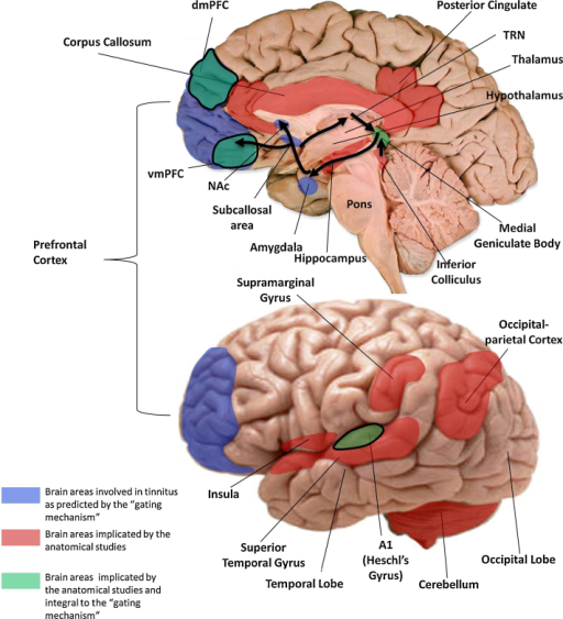 Lesson image
