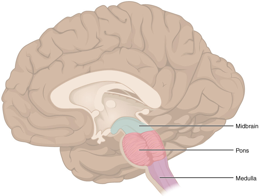 Lesson image