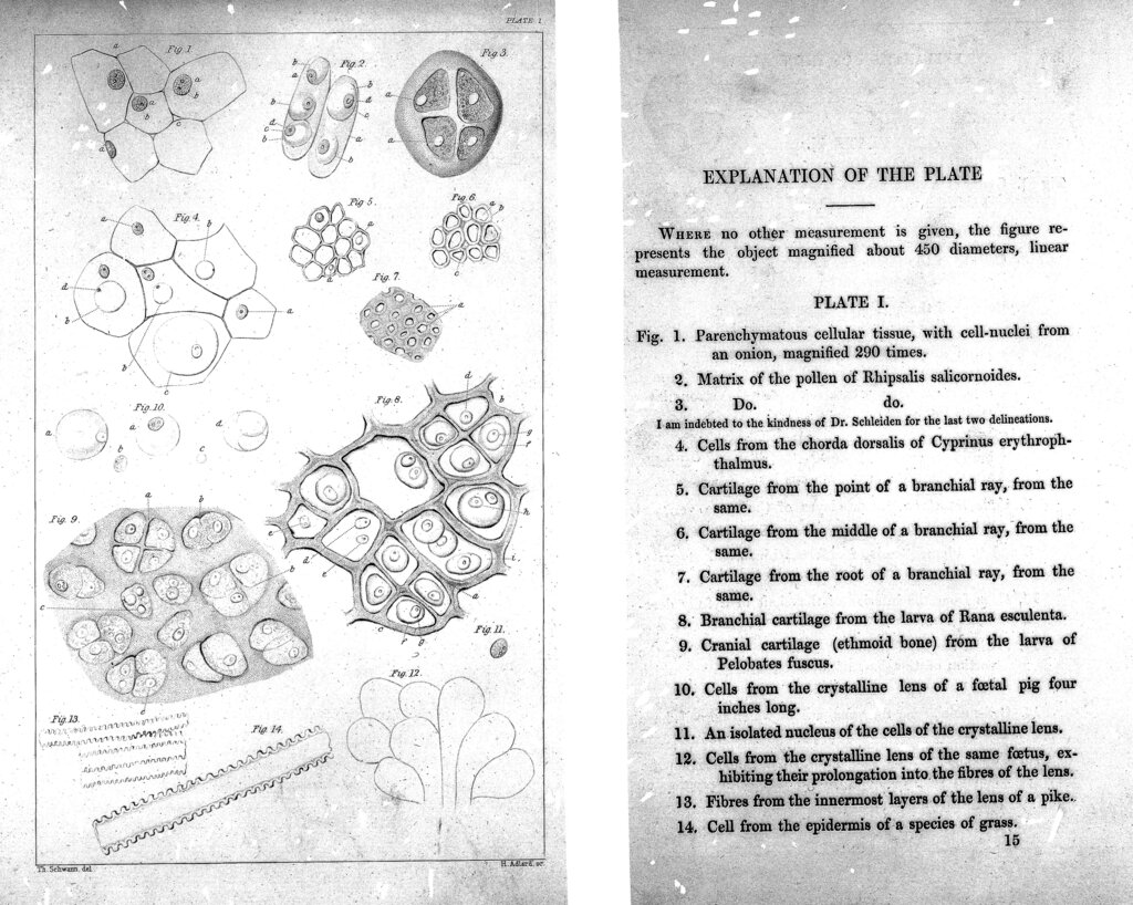 Lesson image