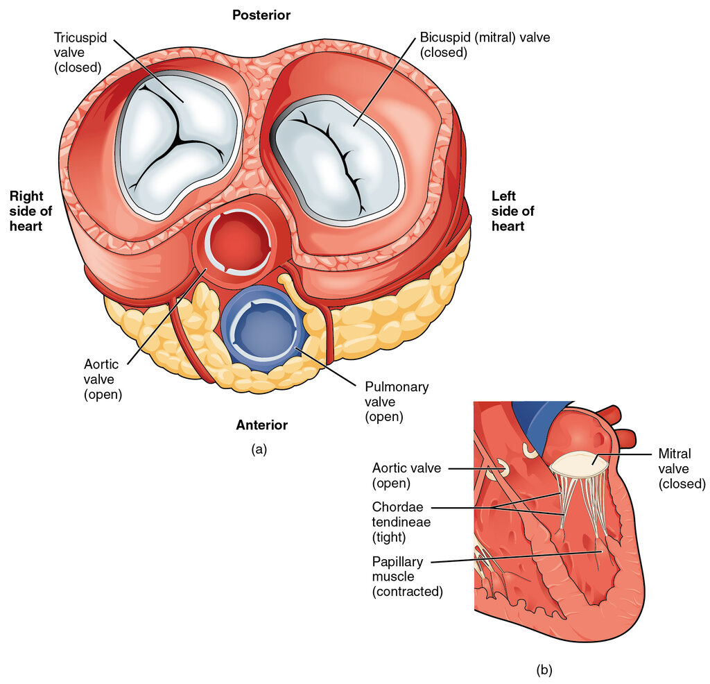 Lesson image
