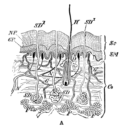 Lesson image