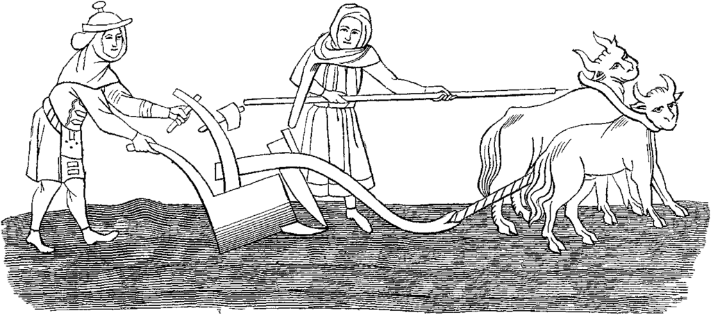 Lesson image