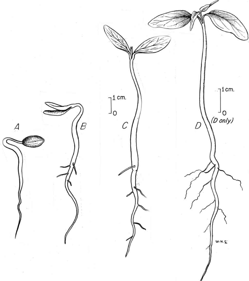 Lesson image