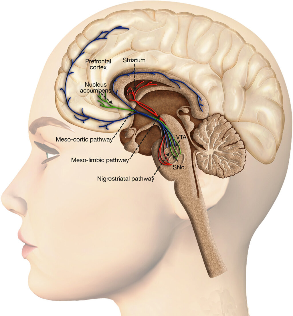 Lesson image