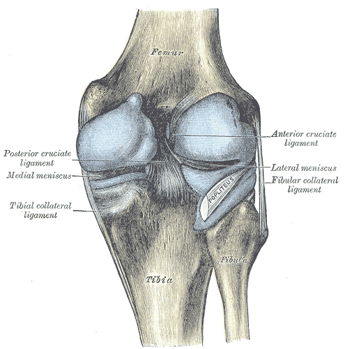 Lesson image