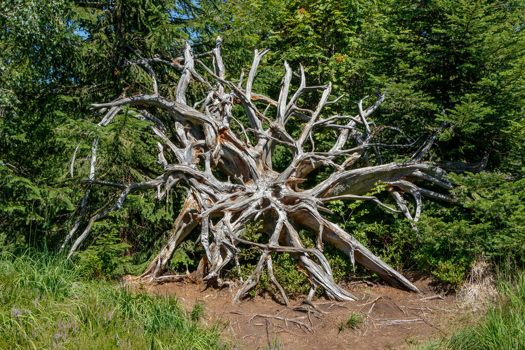 Lesson image